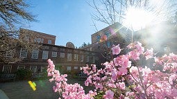 Spring scene on campus