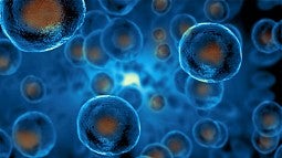 Illustration of stem cells