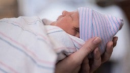 Newborn infant