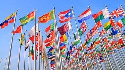 Many international flags on flagpoles