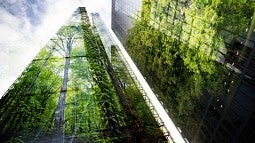 Trees on a skyscraper representing green cities