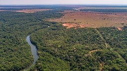 Aerial view of an Amazon River tributary 