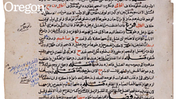 An international network of scholars works with resolve as time and political instability imperil the long Yemeni tradition of producing, owning, and making marginal comments in texts. Photograph courtesy Princeton University Digital Library