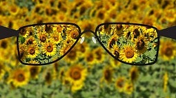 Glasses bringing flowers into focus