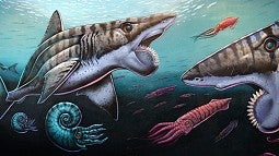 Ray Troll's 'view' of the Helicoprion, an ancient, 'buzz-saw' shark