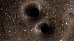 Two colliding black holes