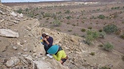 Image shows Brennan O'Connell examining rock layers along the lower Colorado River