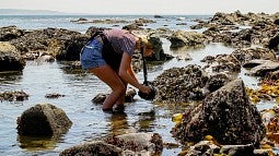 Photographing tide pools