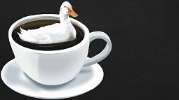 Image of a duck floating in a coffee cup