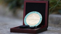 Faculty Excellence Award medallion