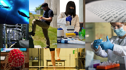 Collage of research activities