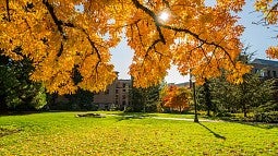 Fall leaves campus scene