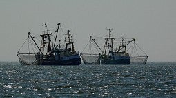 Commercial fishing trawlers side by side in the ocean