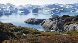 Greenland fjord filled with ice (Photo by Rosemary Camozzi)