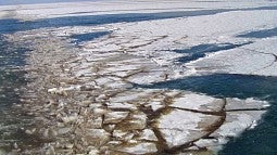 Ice and associated algae in the central basin of Lake Erie in 2008