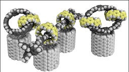 Carbon nanohoop