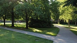Campus walkways