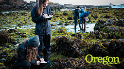 Marine biology students conducting research at the Oregon Coast (Kelley Christensen, Office of the V