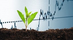 Green plant and stock market graph