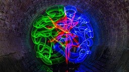 Illustration suggesting human brain