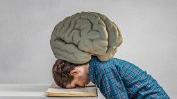 Model of brain with teen