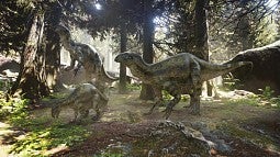 Dinosaurs in forest