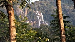 Waterfall in the forest of Tanzania's Udzungwa Mountains National Park