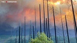 The Riverside Fire in Oregon
