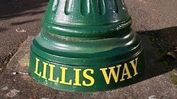 Lamppost with Lillis Way nameplate
