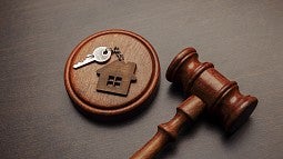 Gavel with housing icon
