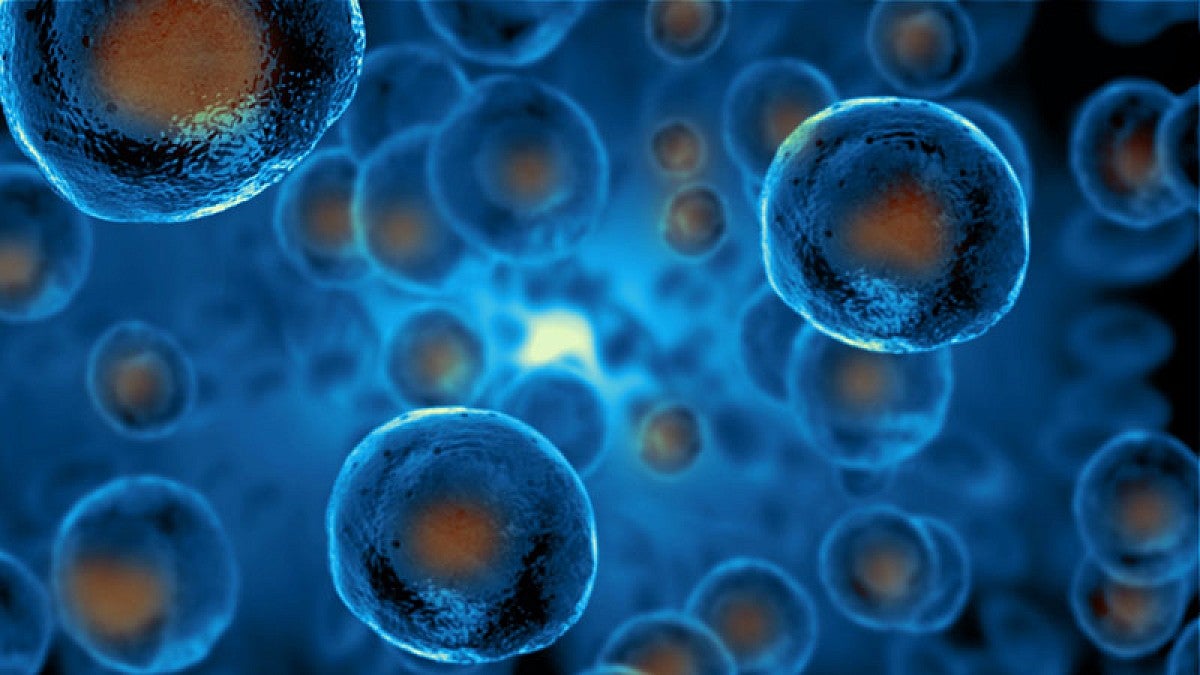 Illustration of stem cells