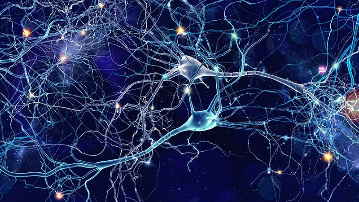 Illustration of neurons in the human brain