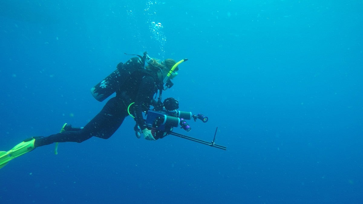 Kelly Sutherland filming salps underwater