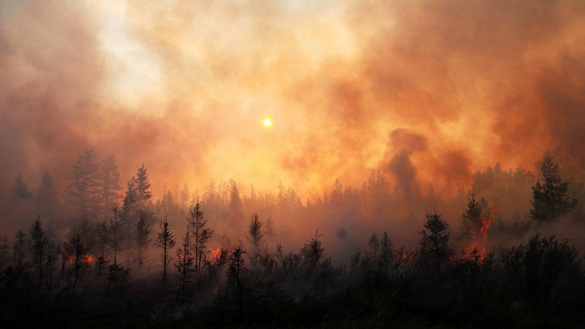 Forest fire in Oregon