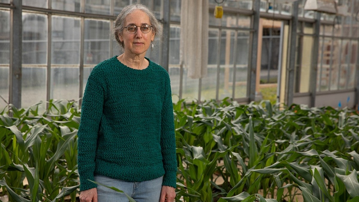 Alice Barkan in greenhouse
