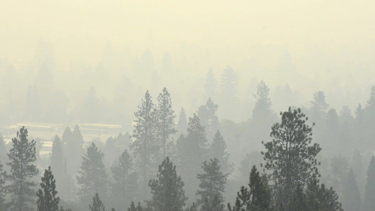 Smoke in Western Oregon