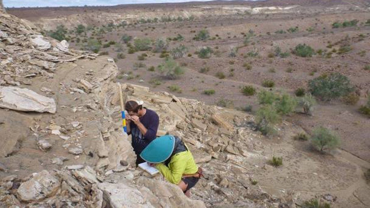 Image shows Brennan O'Connell examining rock layers along the lower Colorado River