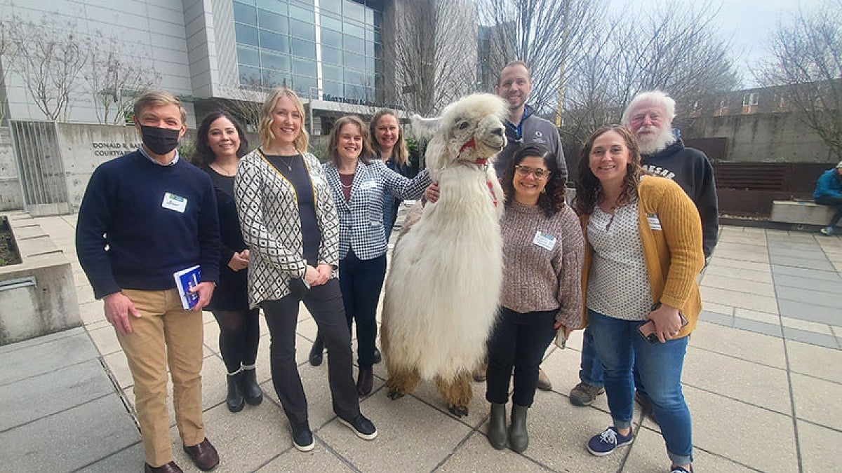 The Food Drive Steering Committee meeting Caesar the No Drama Llama to celebrate the success of the 2022 food drive.