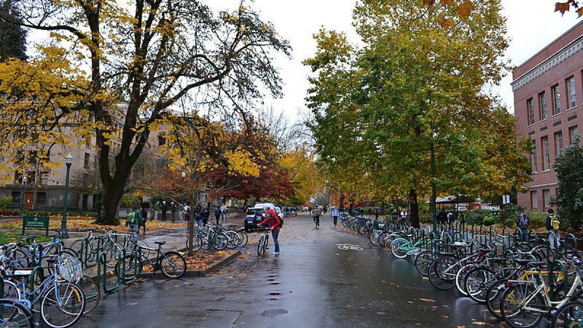 Campus street in fall