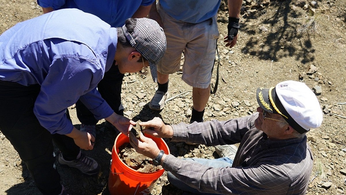 Examining fossils at Mitchell quarry