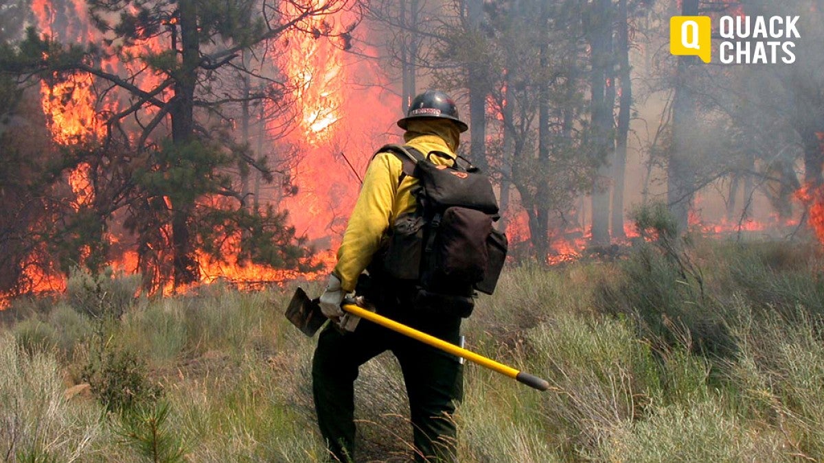 Firefighter at wildland fire