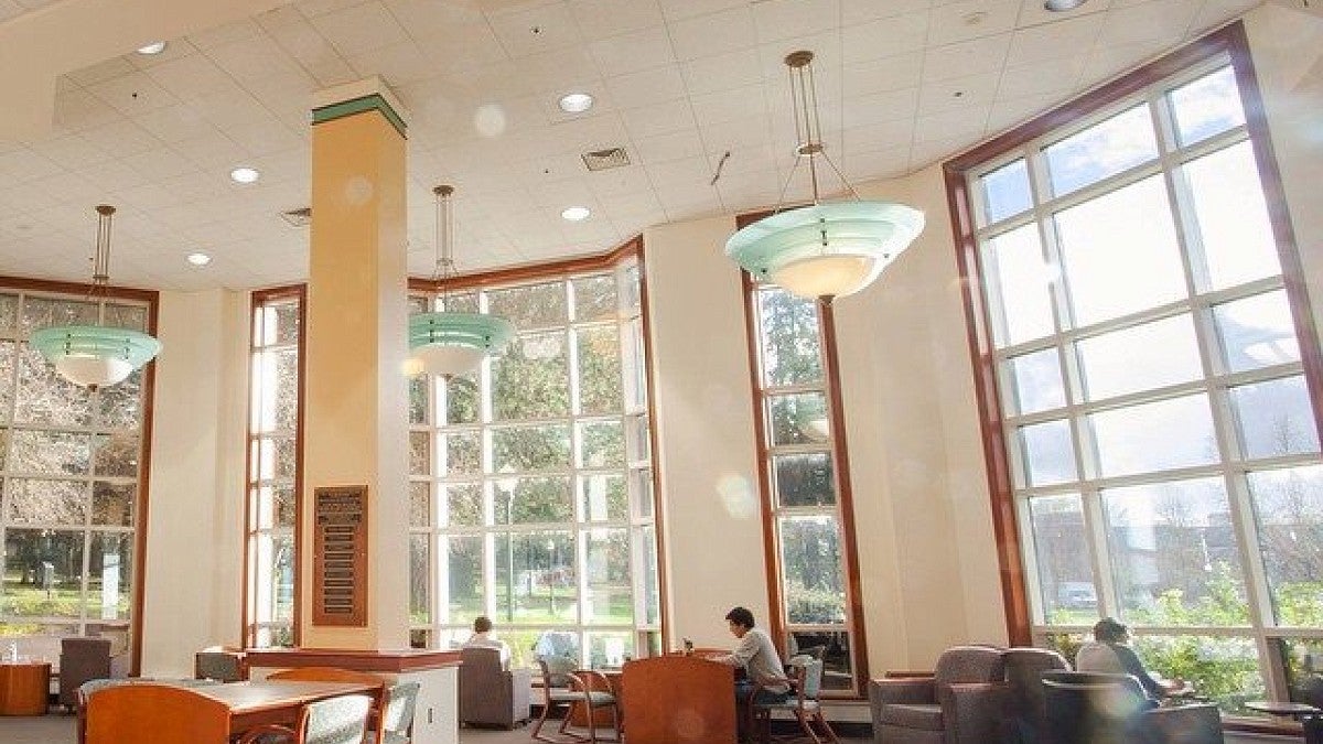 Study area in the Knight Library