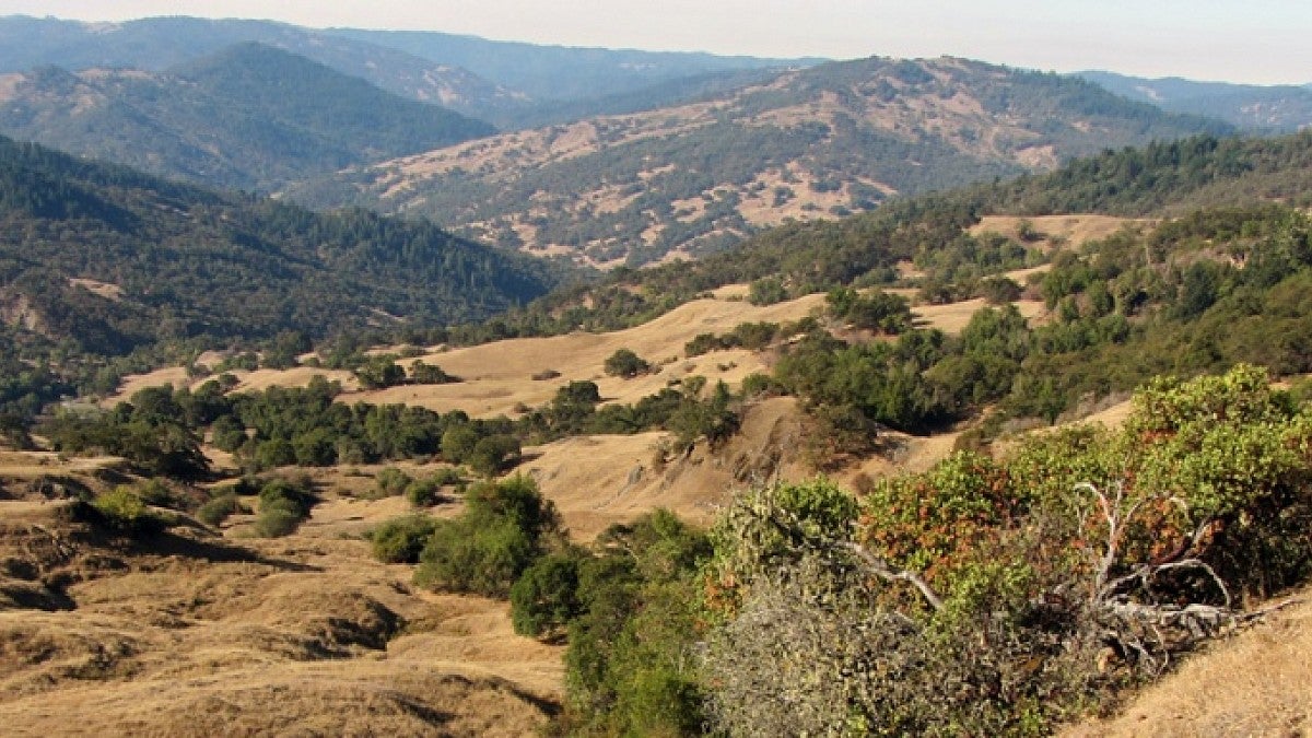 One of the California landslide sites studied by the UO's Georgie Bennett and Joshua Roering