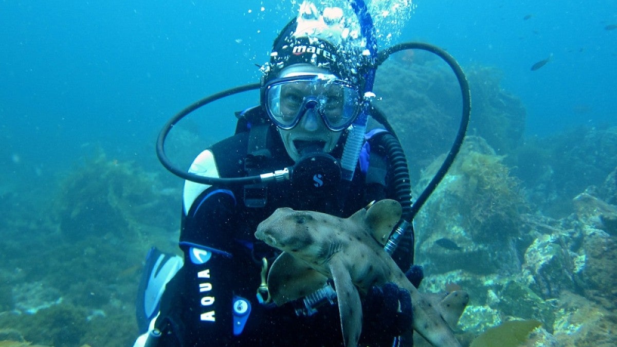 Laura Jordan-Smith underwater with a shark