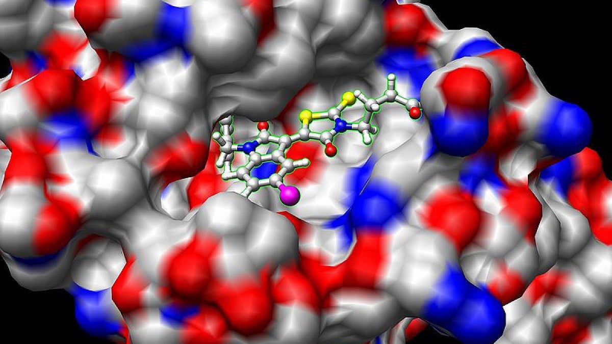Image illustrates a ligand binding with a protein (Creative Commons)