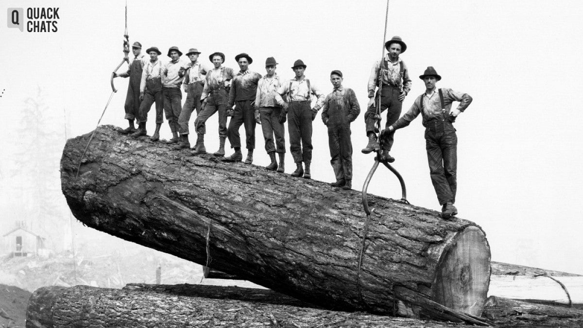 Loggers standing on log