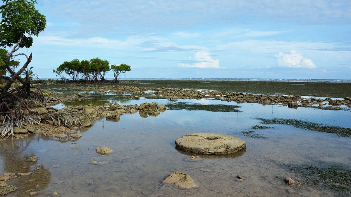 Image shows the view looking seaward from the island of Yap