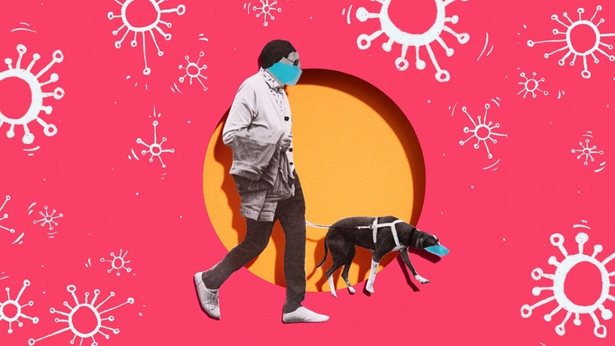Illustration of man and dog with face masks