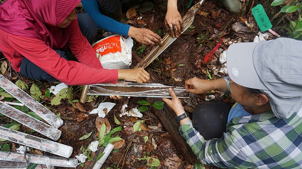 Taking peat samples in Indonesia