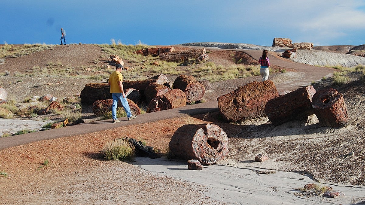 Visitors in Petrified Forest National Park